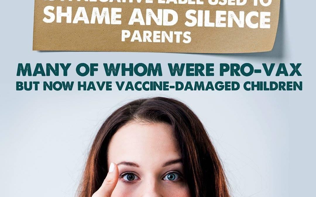 Meme/Image – “Anti Vax, The Negative Label to Shame and Silence Parents”