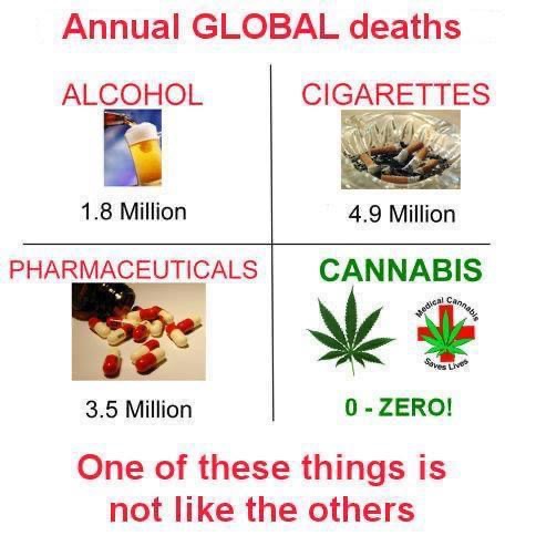 Meme/Image “Cannabis Saves Lives”