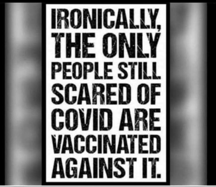 Meme – “Covid 19 Pandemic”
