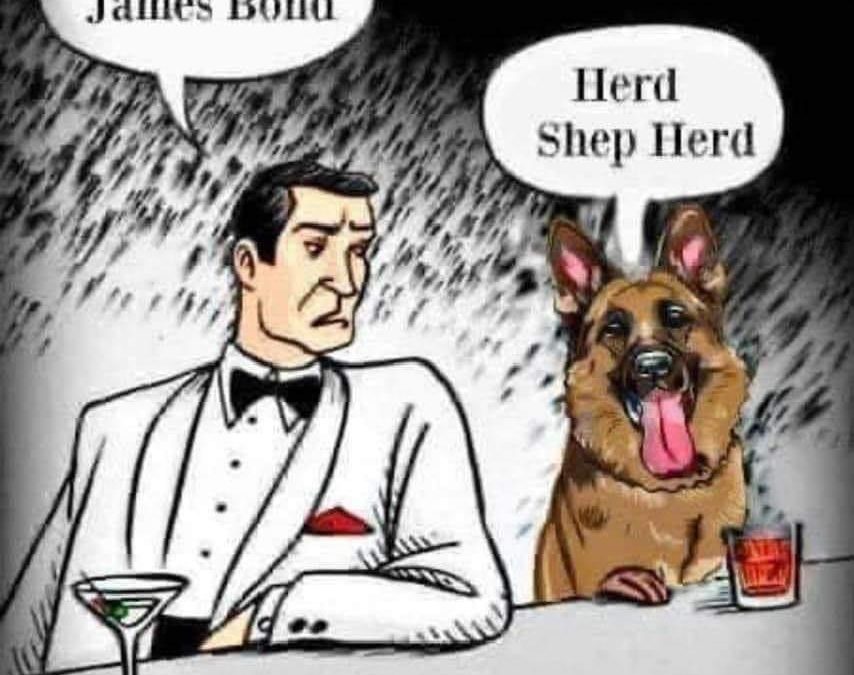 Meme – “Bond & Shep”