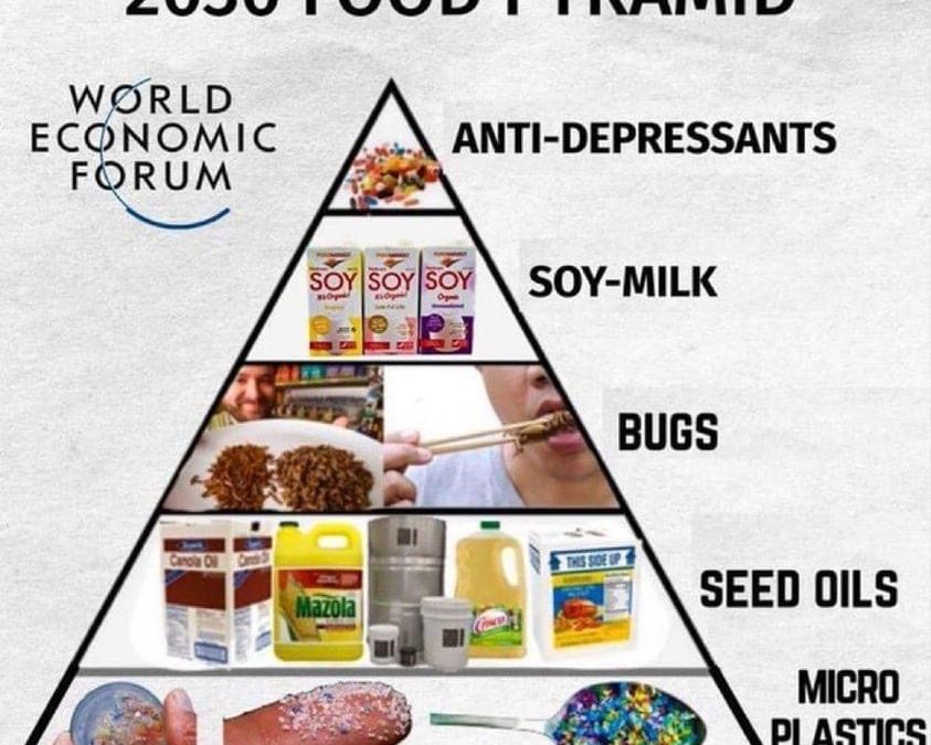 Image – “2030 Food Pyramid, WEF – Own Nothing & Be Happy”