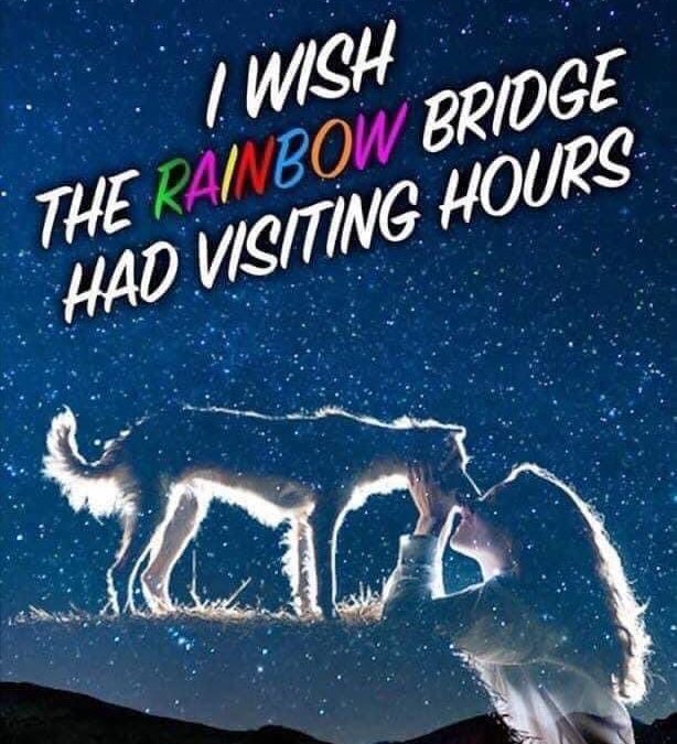 Meme/Image – “I Wish The Rainbow Bridge Had Visiting Hours”