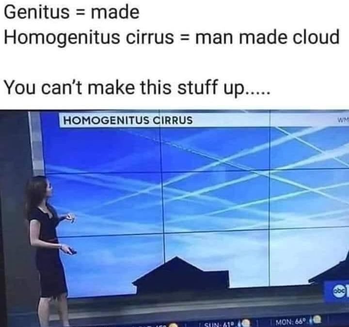 Meme/Image “Man Made Clouds Poisoning The World”