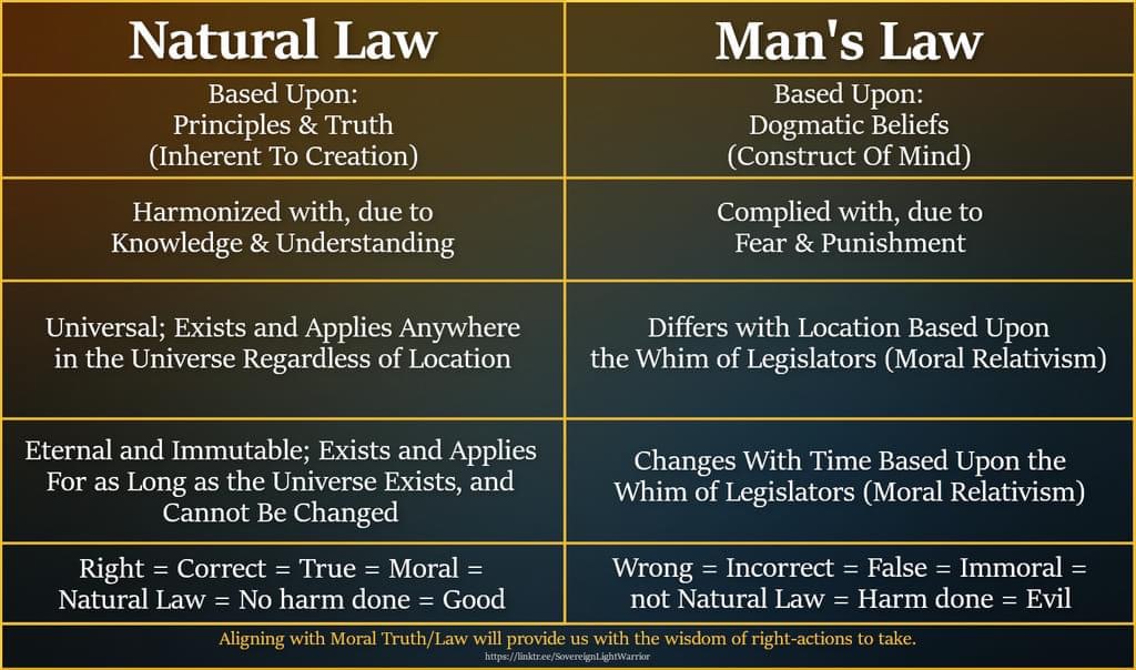 Article “Natural Law Is Freedom, Man’s Law Is Enslavement”