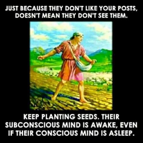 Meme/Image “Keep Planting Seeds”