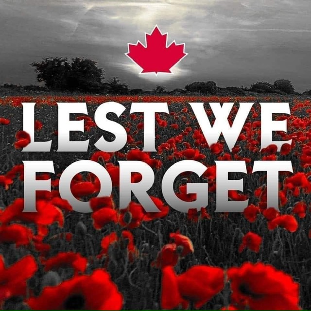 Image – “The Hypocrites of Remembrance Day”