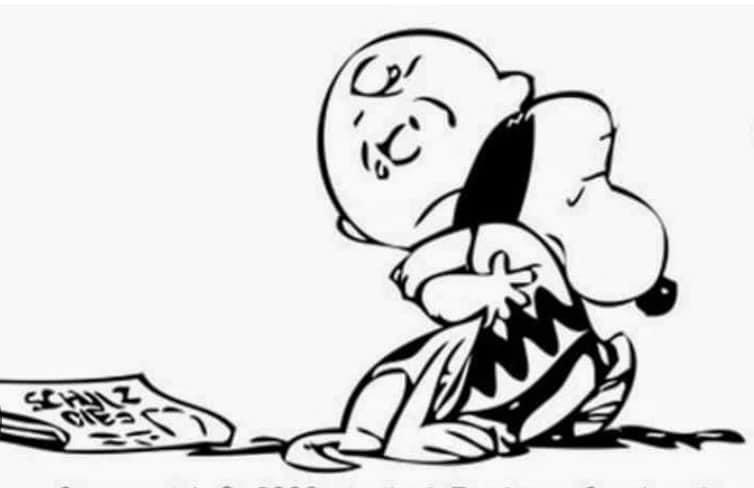 Article – “The Charles Schultz Philisophy”